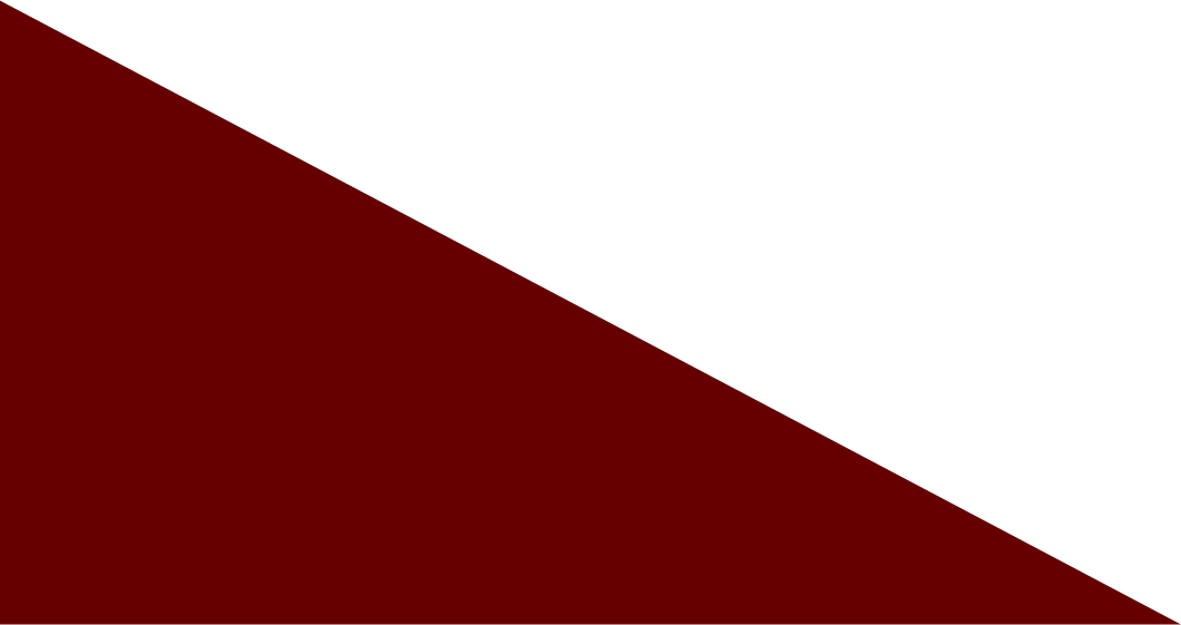 Remodeling, ft. worth, remodel, Design, Burks Enterprises, Custom Residential Construction, Remodeling & Design, fort worth, contractor, dfw, kitchen, bathroom, construction, home repair, home design, custom playhouse