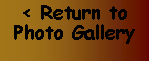 Text Box: < Return to Photo Gallery